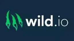 L'image de wildio casino.